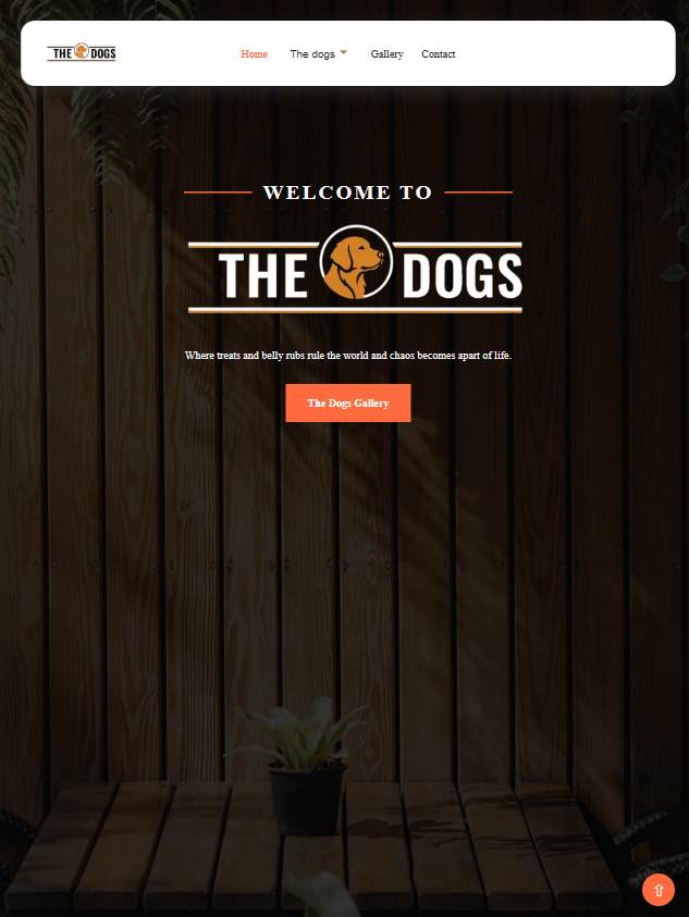 website image
